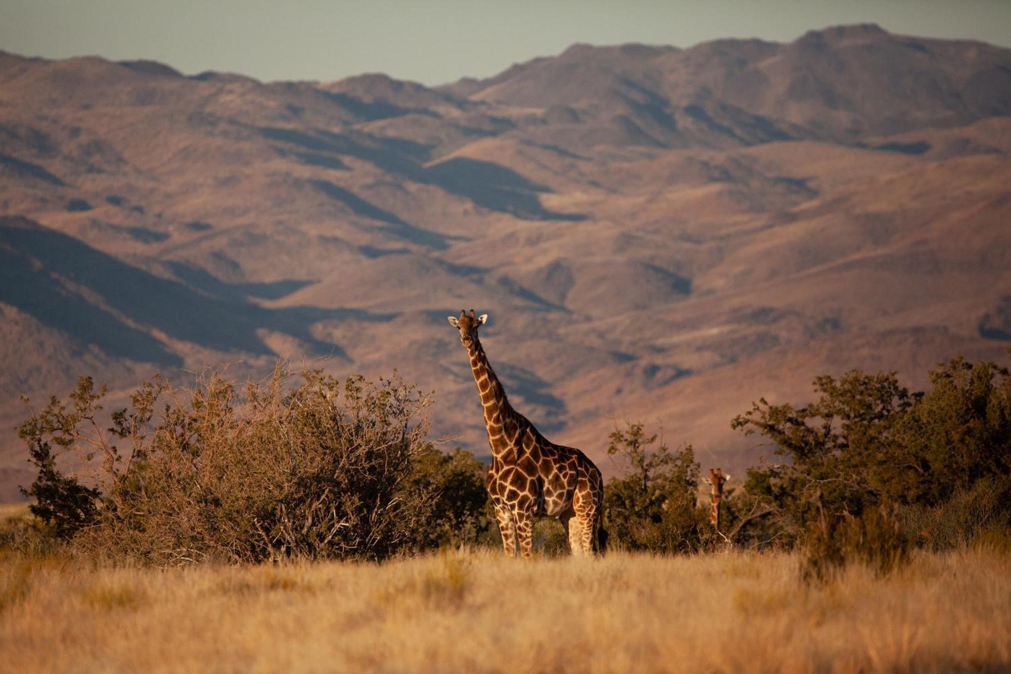 Sandfontein Lodge & Nature Reserve Esterno foto