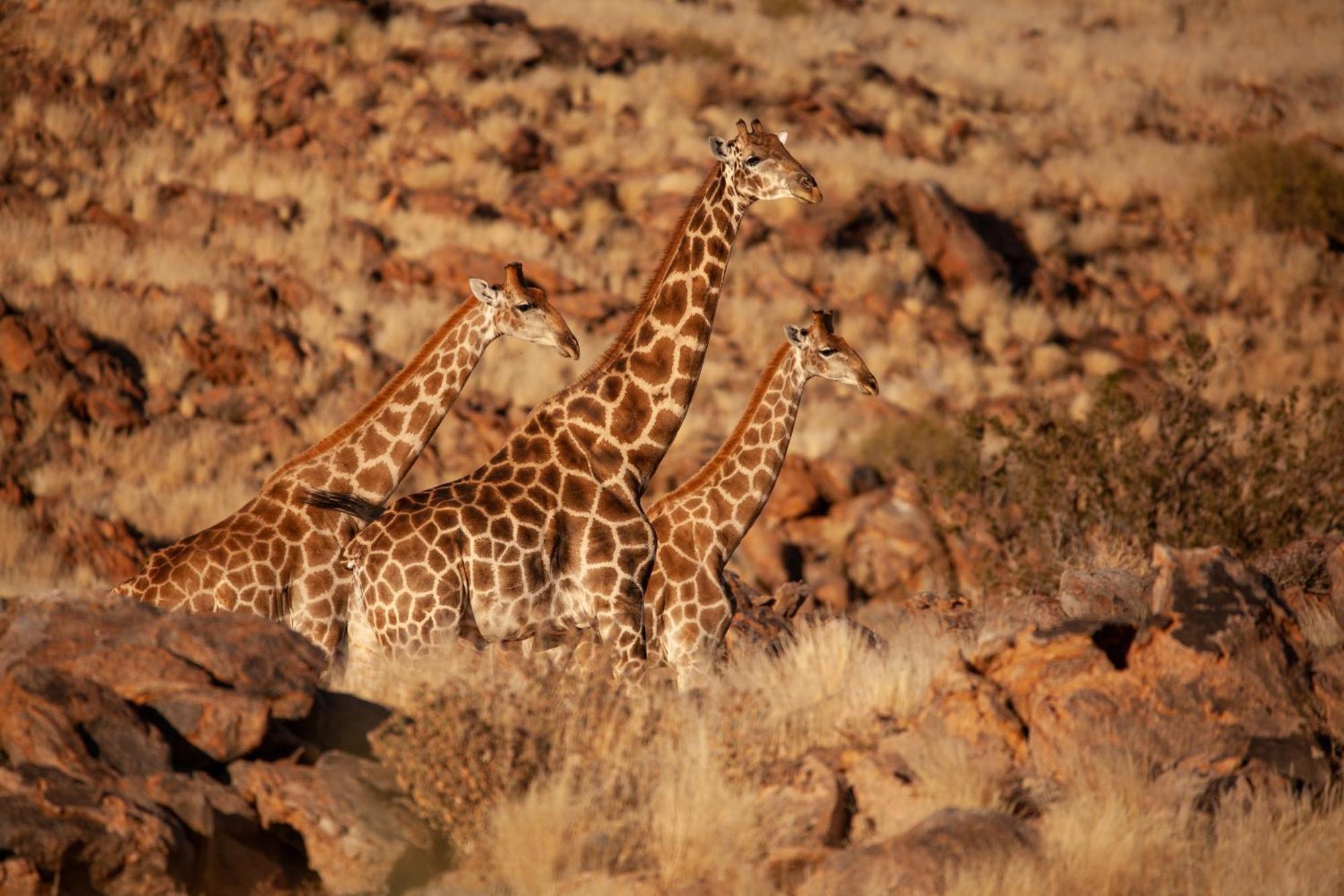 Sandfontein Lodge & Nature Reserve Esterno foto
