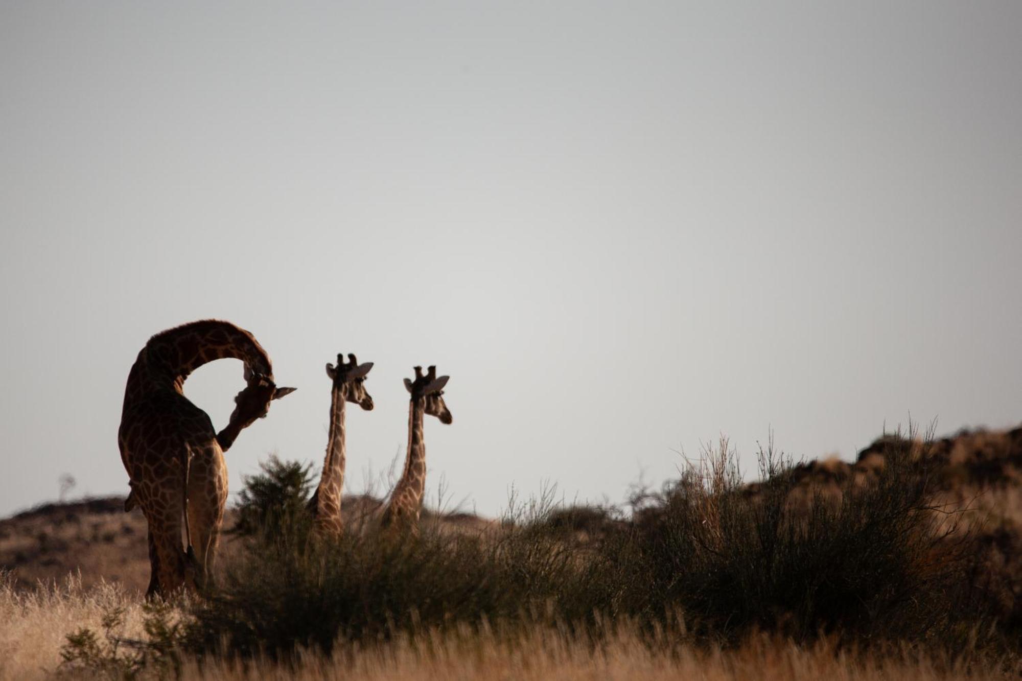Sandfontein Lodge & Nature Reserve Esterno foto