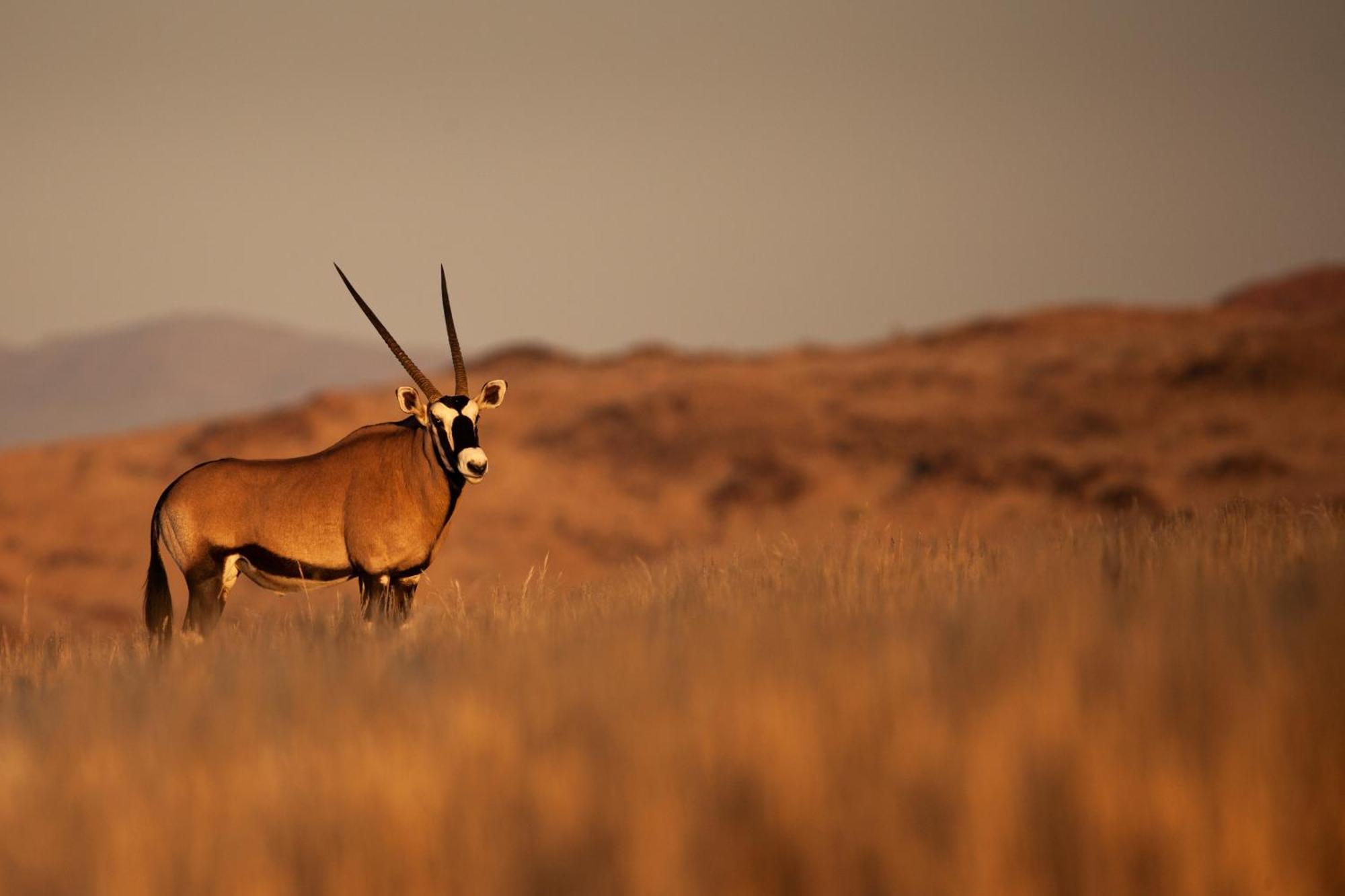 Sandfontein Lodge & Nature Reserve Esterno foto